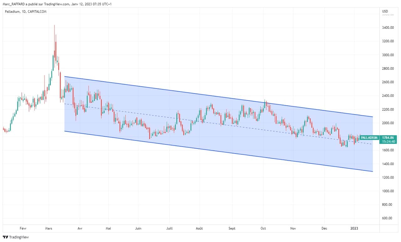 palladium 1 an janvier 2023